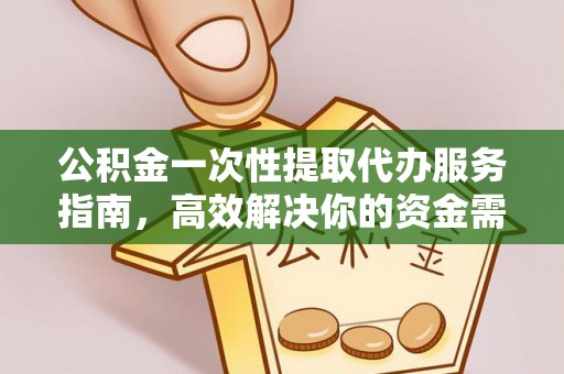 望城公积金一次性提取代办服务指南，高效解决你的资金需求