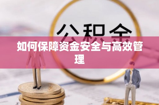 望城如何保障资金安全与高效管理