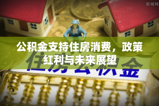 望城公积金支持住房消费，政策红利与未来展望