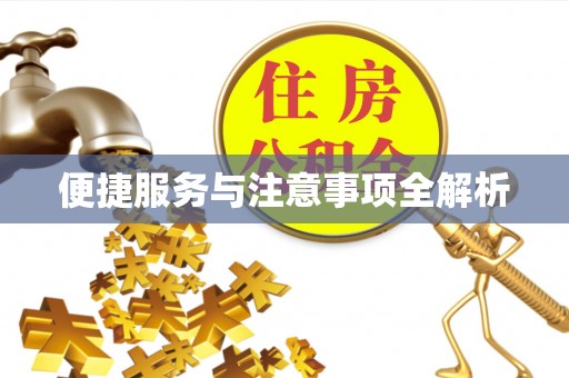 望城便捷服务与注意事项全解析