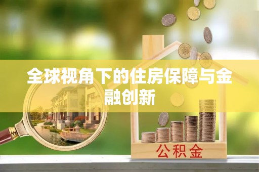 望城全球视角下的住房保障与金融创新