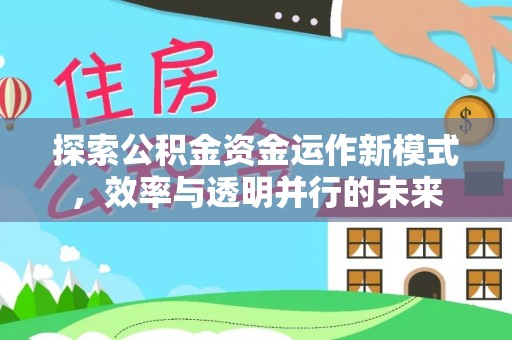 望城探索公积金资金运作新模式，效率与透明并行的未来