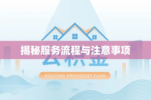 望城揭秘服务流程与注意事项