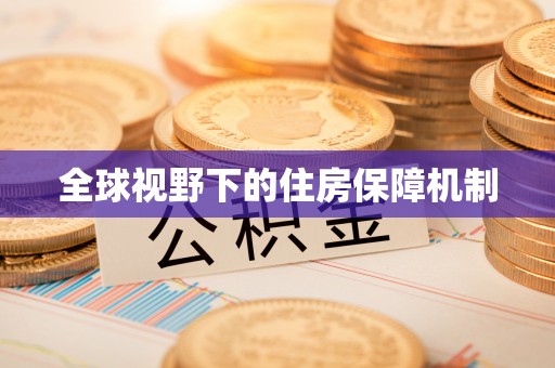 望城全球视野下的住房保障机制