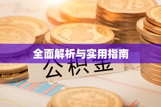 望城全面解析与实用指南