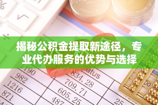 望城揭秘公积金提取新途径，专业代办服务的优势与选择