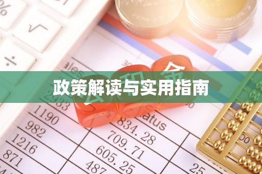 望城政策解读与实用指南