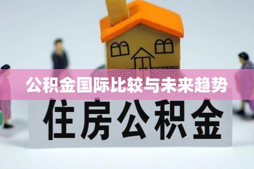 望城公积金国际比较与未来趋势