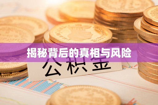 望城揭秘背后的真相与风险