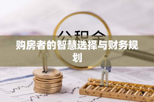 望城购房者的智慧选择与财务规划