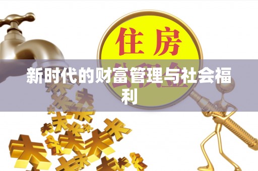望城新时代的财富管理与社会福利