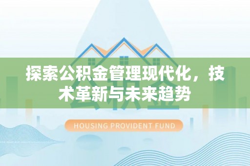 望城探索公积金管理现代化，技术革新与未来趋势