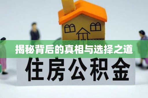 望城揭秘背后的真相与选择之道