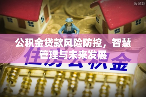 望城公积金贷款风险防控，智慧管理与未来发展