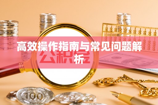望城高效操作指南与常见问题解析