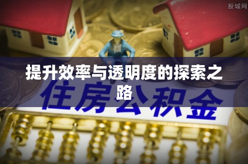 望城提升效率与透明度的探索之路