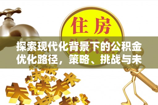 望城探索现代化背景下的公积金优化路径，策略、挑战与未来展望