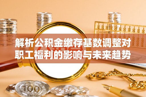 望城解析公积金缴存基数调整对职工福利的影响与未来趋势