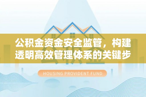 望城公积金资金安全监管，构建透明高效管理体系的关键步骤