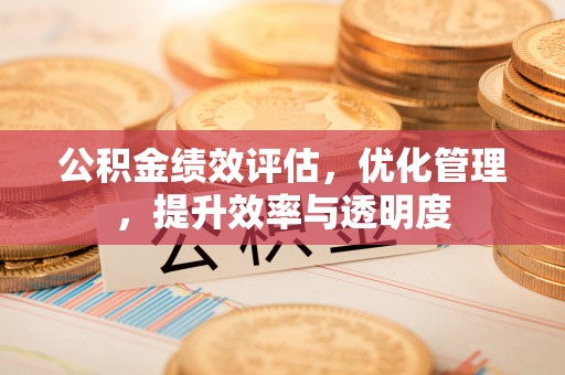 望城公积金绩效评估，优化管理，提升效率与透明度
