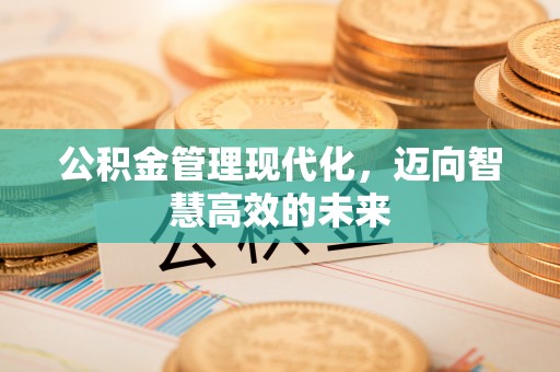 望城公积金管理现代化，迈向智慧高效的未来