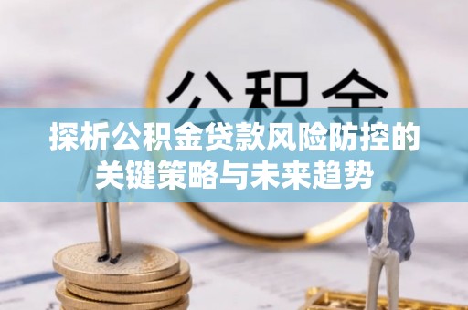 望城探析公积金贷款风险防控的关键策略与未来趋势