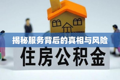 望城揭秘服务背后的真相与风险