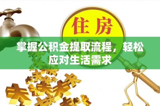 望城掌握公积金提取流程，轻松应对生活需求
