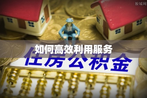 望城如何高效利用服务