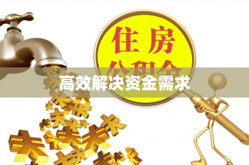望城高效解决资金需求