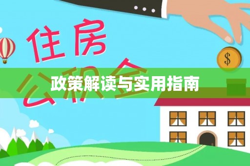 望城政策解读与实用指南