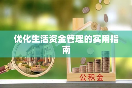 望城优化生活资金管理的实用指南