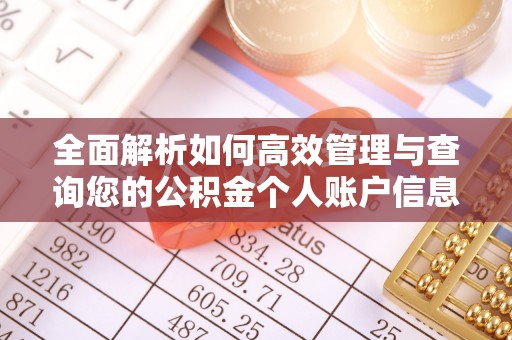 望城全面解析如何高效管理与查询您的公积金个人账户信息