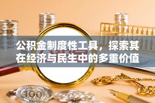 望城公积金制度性工具，探索其在经济与民生中的多重价值