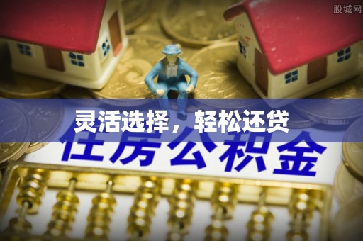 望城灵活选择，轻松还贷