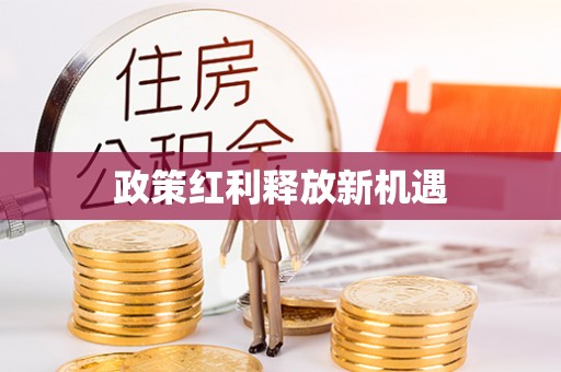 望城政策红利释放新机遇