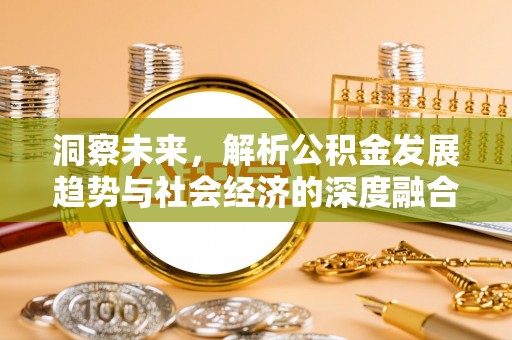望城洞察未来，解析公积金发展趋势与社会经济的深度融合