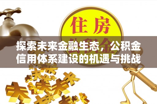 望城探索未来金融生态，公积金信用体系建设的机遇与挑战