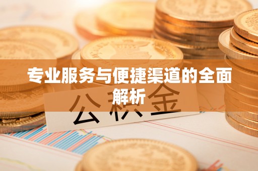 望城专业服务与便捷渠道的全面解析