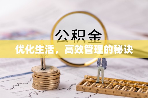 望城优化生活，高效管理的秘诀