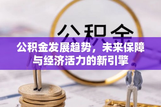 望城公积金发展趋势，未来保障与经济活力的新引擎