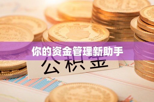 望城你的资金管理新助手