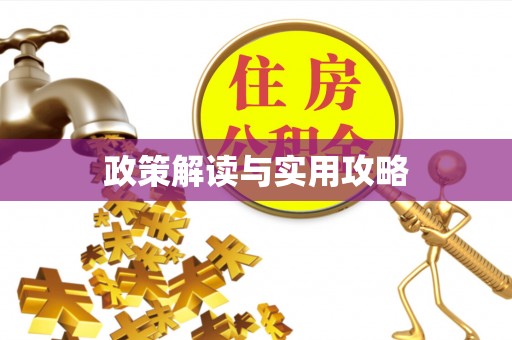 望城政策解读与实用攻略
