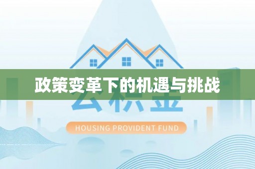 望城政策变革下的机遇与挑战