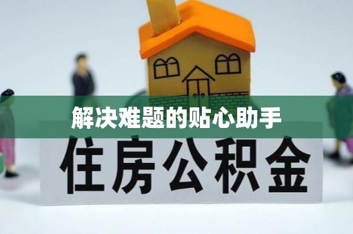 望城解决难题的贴心助手