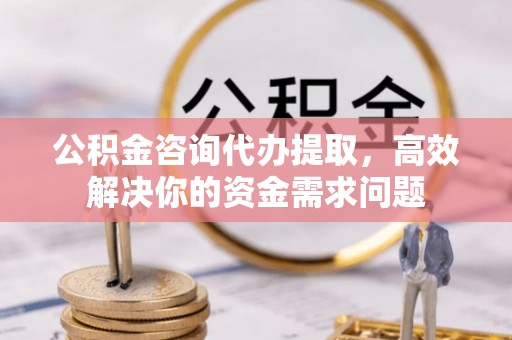 望城公积金咨询代办提取，高效解决你的资金需求问题