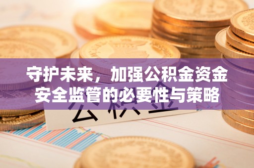 望城守护未来，加强公积金资金安全监管的必要性与策略