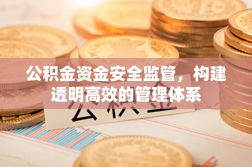 望城公积金资金安全监管，构建透明高效的管理体系