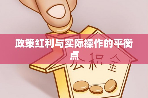 望城政策红利与实际操作的平衡点