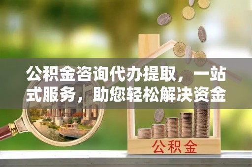 望城公积金咨询代办提取，一站式服务，助您轻松解决资金难题